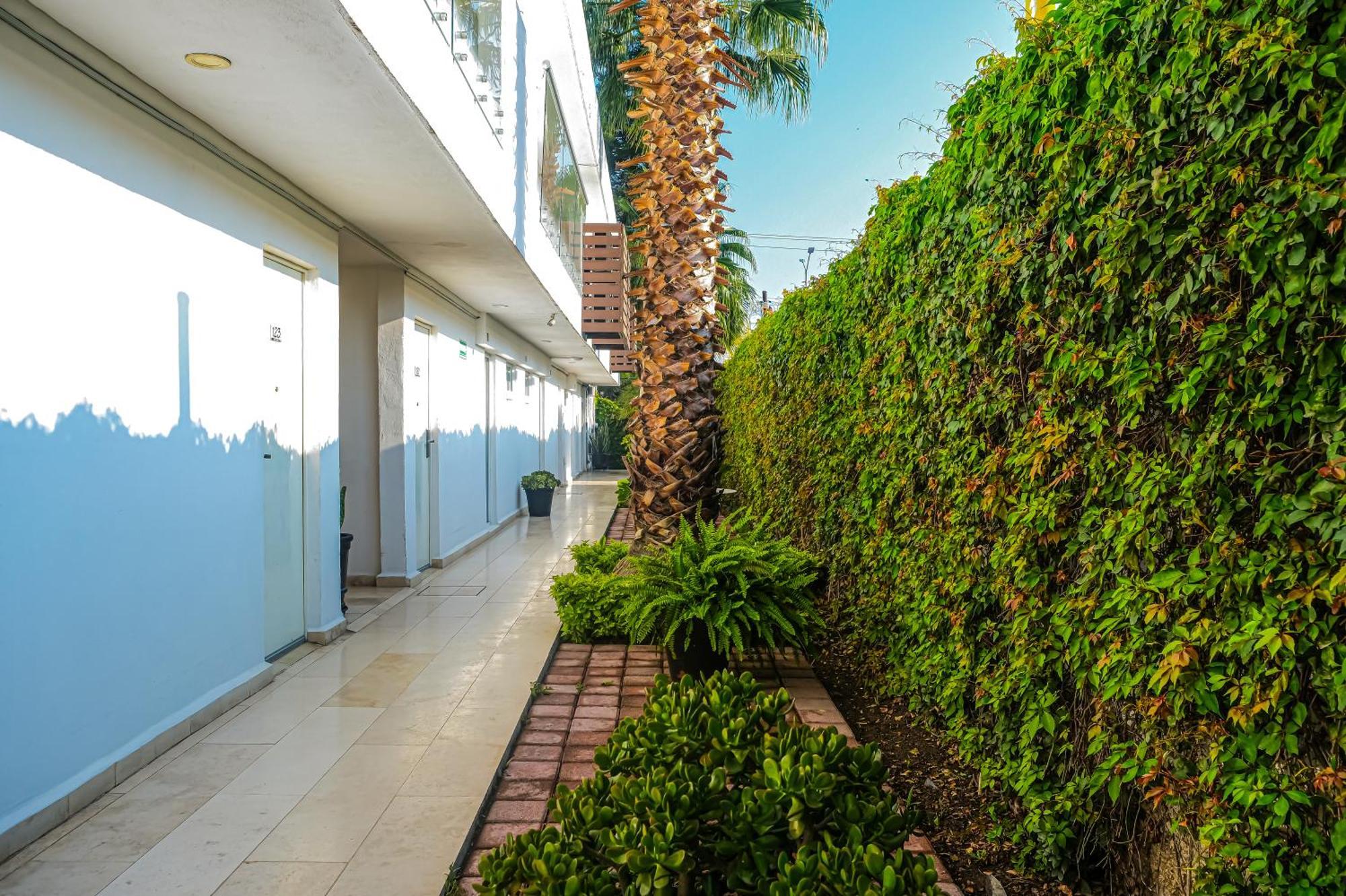 Hotel St. George Celaya  Eksteriør billede
